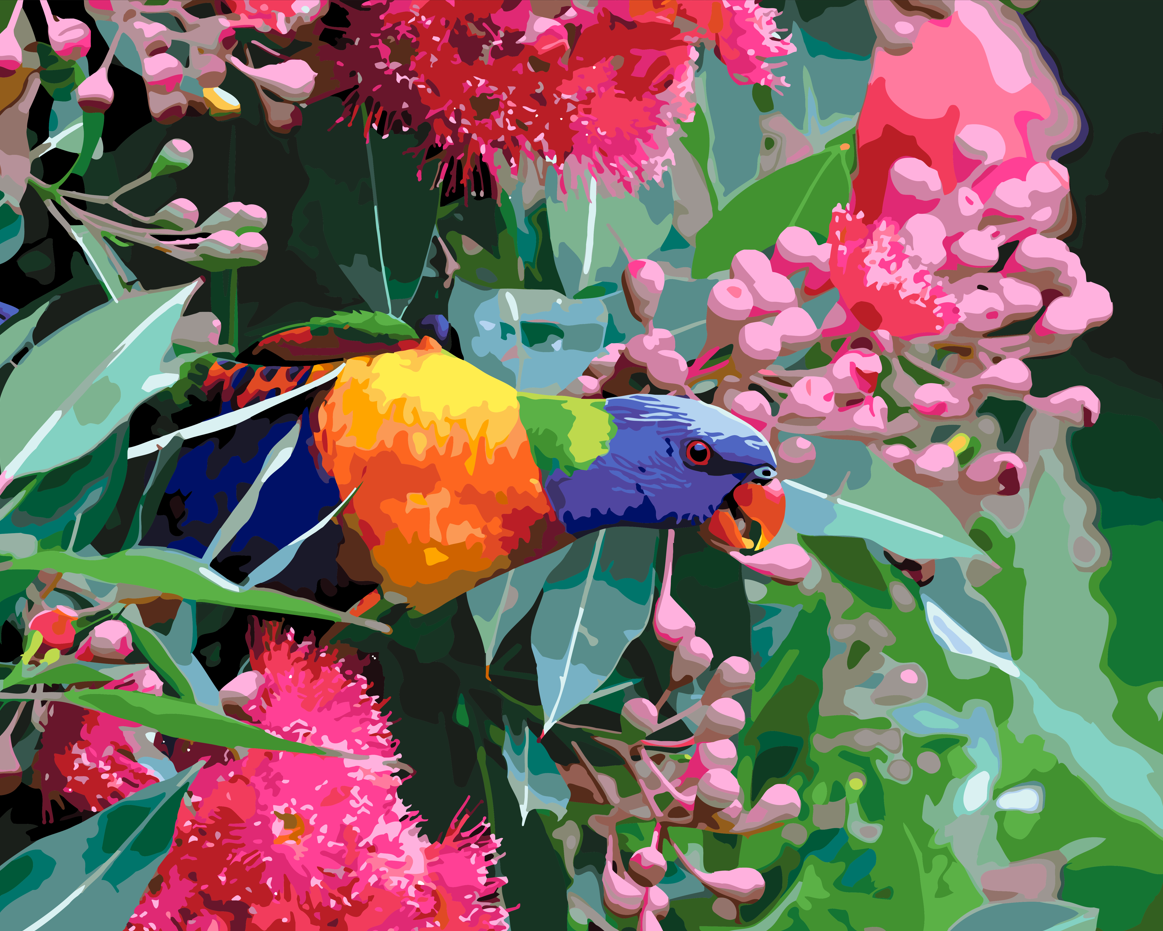 Rainbow Lorikeet Nibbling