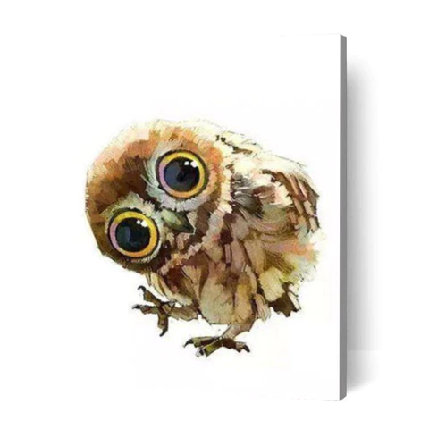 Paint by Numbers Kit-CuteOwl