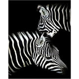 Black And White Diy Paint By Numbers Kits PBN95960 - NEEDLEWORK KITS