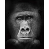 black-and-white-diy-paint-by-numbers-kits-uk-vm95961 - NEEDLEWORK KITS