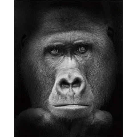 black-and-white-diy-paint-by-numbers-kits-uk-vm95961 - NEEDLEWORK KITS