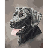 Black Dog Diy Paint By Numbers Kits WM-1593 - NEEDLEWORK KITS