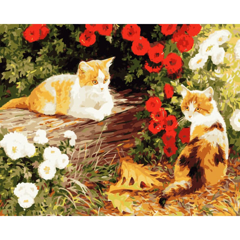 Cat Diy Paint By Numbers Kits WM-861 - NEEDLEWORK KITS