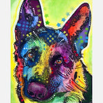 Color Animals Diy Paint By Numbers Kits PBN97963 - NEEDLEWORK KITS