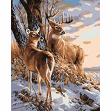 Deer Diy Paint By Numbers Kits WM-246 - NEEDLEWORK KITS