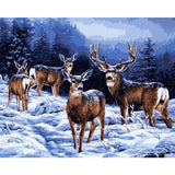 Deer Diy Paint By Numbers Kits WM-814 - NEEDLEWORK KITS
