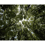 Diy Paint By Numbers Kits WM-1557 - NEEDLEWORK KITS