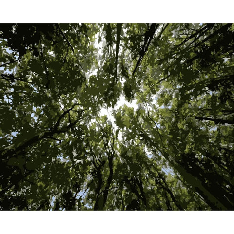 Diy Paint By Numbers Kits WM-1557 - NEEDLEWORK KITS