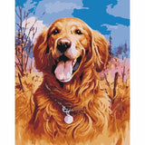 Dog Diy Paint By Numbers Kits PBN52132 - NEEDLEWORK KITS