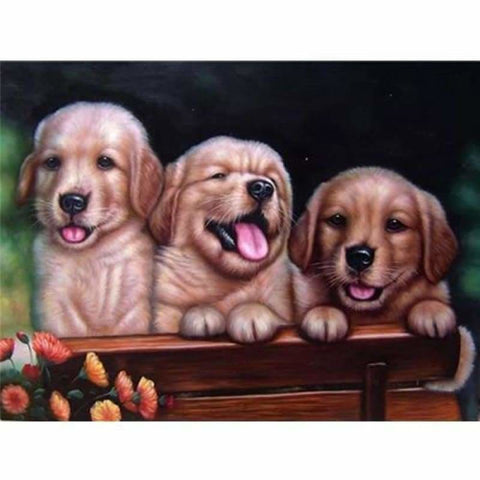 Dog Diy Paint By Numbers Kits PBN54144 - NEEDLEWORK KITS