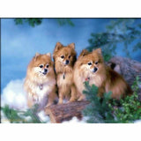 Dog Diy Paint By Numbers Kits PBN59453 - NEEDLEWORK KITS