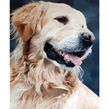 Dog Diy Paint By Numbers Kits Uk ZXQ2706 VM80034 - NEEDLEWORK KITS