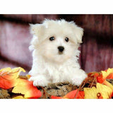 Dog Diy Paint By Numbers Kits VM97463 - NEEDLEWORK KITS