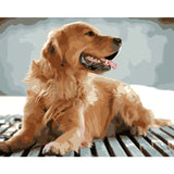 Dog Diy Paint By Numbers Kits WM-1016 - NEEDLEWORK KITS