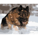 Dog Diy Paint By Numbers Kits WM-1440 - NEEDLEWORK KITS