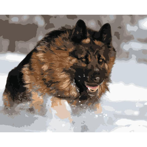 Dog Diy Paint By Numbers Kits WM-1440 - NEEDLEWORK KITS