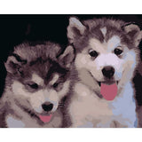 Dog Diy Paint By Numbers Kits WM-325 - NEEDLEWORK KITS