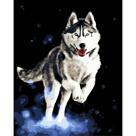 Dog Diy Paint By Numbers Kits WM-527 - NEEDLEWORK KITS