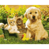 Dog Diy Paint By Numbers Kits ZXQ1522 - NEEDLEWORK KITS