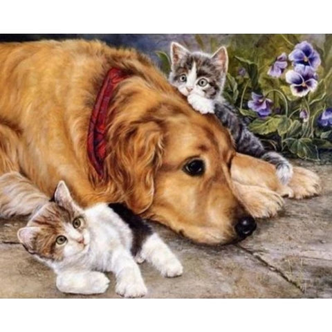 Dog Diy Paint By Numbers Kits ZXQ2160 - NEEDLEWORK KITS