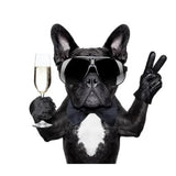 Dog Diy Paint By Numbers Kits ZXQ3329 - NEEDLEWORK KITS