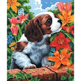 Dog Diy Paint By Numbers Kits ZXQ3332 - NEEDLEWORK KITS