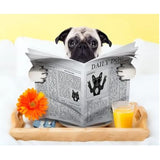 Dog Diy Paint By Numbers Kits ZXQ3335 - NEEDLEWORK KITS