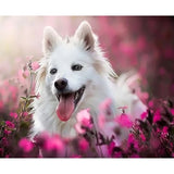 Dog Diy Paint By Numbers Kits ZXQ3503 - NEEDLEWORK KITS