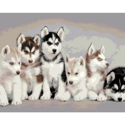 Dog Diy Paint By Numbers Kits ZXQ811 - NEEDLEWORK KITS