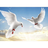 Dove Diy Paint By Numbers Kits VM96052 - NEEDLEWORK KITS