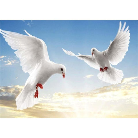 Dove Diy Paint By Numbers Kits VM96052 - NEEDLEWORK KITS