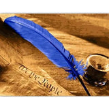 Feather Diy Paint By Numbers Kits PBN30149 - NEEDLEWORK KITS