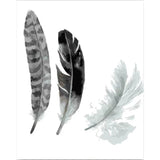 Feather Diy Paint By Numbers Kits PBN30150 - NEEDLEWORK KITS