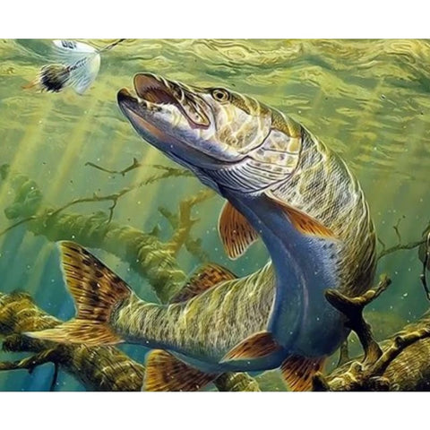 Fish Diy Paint By Numbers Kits ZXQ3982 VM80030 - NEEDLEWORK KITS