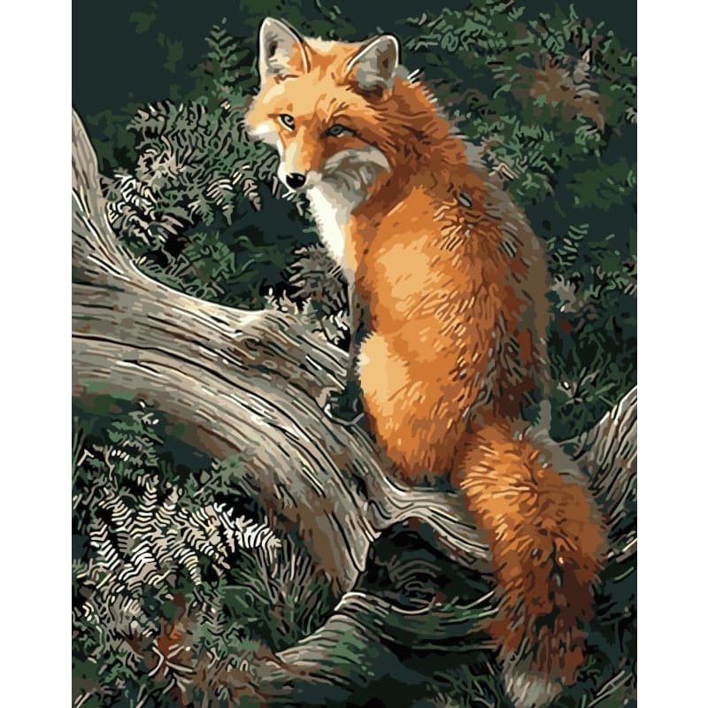 Fox Diy Paint By Numbers Kits WM-389-ZXQ495 - NEEDLEWORK KITS