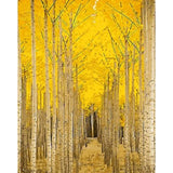 Landscape Forest Diy Paint By Numbers Kits ZXQ389-22 - NEEDLEWORK KITS