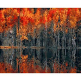 Landscape Forest Diy Paint By Numbers Kits ZXQ407 - NEEDLEWORK KITS