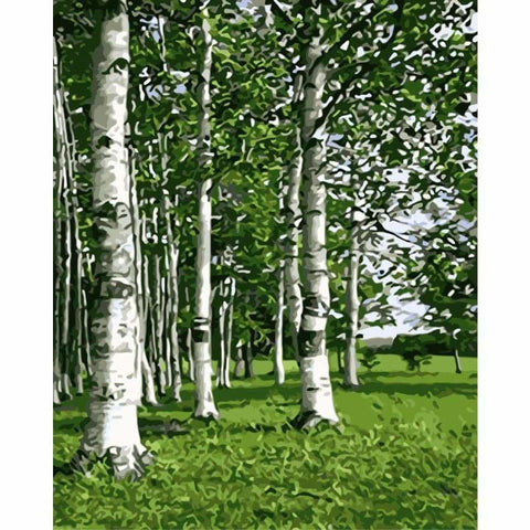 Landscape Forest Diy Paint By Numbers WM-499 - NEEDLEWORK KITS