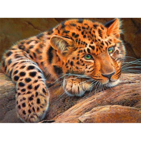Leopard Diy Paint By Numbers Kits PBN52901 - NEEDLEWORK KITS