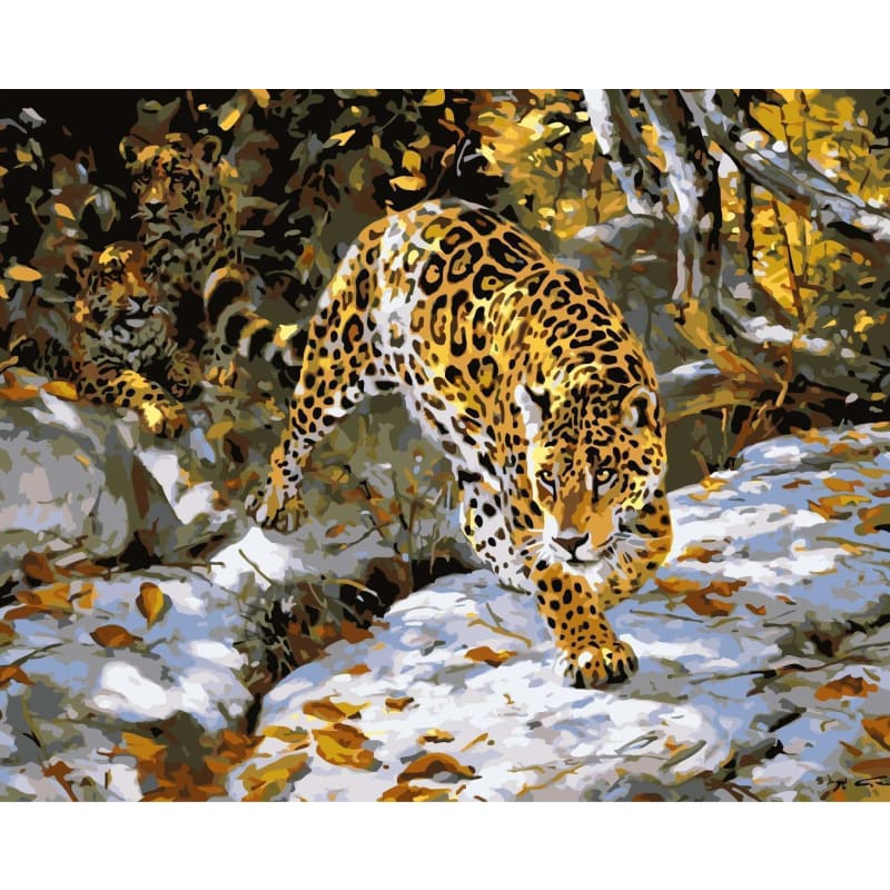 Leopard Diy Paint By Numbers Kits WM-179 - NEEDLEWORK KITS