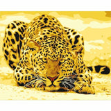 Leopard Diy Paint By Numbers Kits YM-4050-047 - NEEDLEWORK KITS