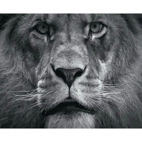 Lion Diy Paint By Numbers Kits VM95701 - NEEDLEWORK KITS