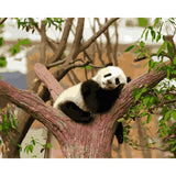 Lovely Panda Diy Paint By Numbers Kits WM-753 - NEEDLEWORK KITS