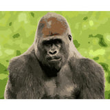 Monkey Diy Paint By Numbers Kits WM-1241 - NEEDLEWORK KITS