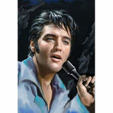 Music star Elvis Presley Diy Paint By Numbers Kits VM92817 - NEEDLEWORK KITS