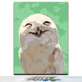 Owl Diy Paint By Numbers Kits PBN97619 - NEEDLEWORK KITS