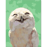 Owl Diy Paint By Numbers Kits PBN97619 - NEEDLEWORK KITS