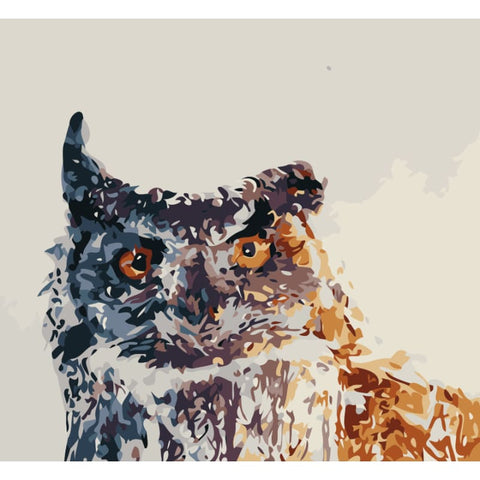 Owl Diy Paint By Numbers Kits SY-4050-012 - NEEDLEWORK KITS