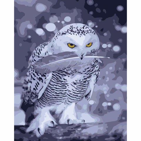 Owl Diy Paint By Numbers Kits WM-193 - NEEDLEWORK KITS