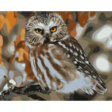 Owl Diy Paint By Numbers Kits WM-340 - NEEDLEWORK KITS